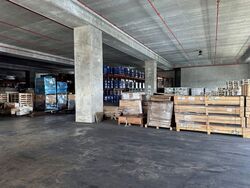 Tuas Avenue 9 (D22), Warehouse #568721031
